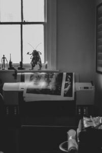 Photo by Jonathan Cosens Photography on Unsplash